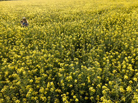 girl taking a picture with straw hat to a field of rapeseed plants