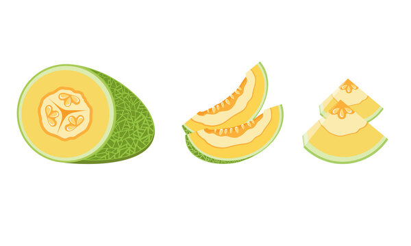 Melon and juicy slices vector set. Fresh and juicy fruit concept of summer food isolated on white background.
