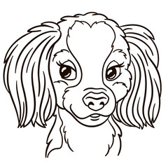 Spaniel dog cartoon illustration. Cute animal print for t-shirts, mugs, totes, stickers, nursery wall arts, greeting cards, etc.