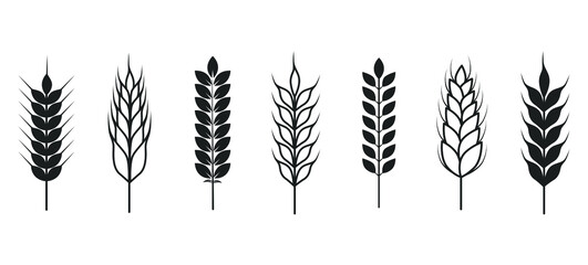 Wheat ears icon. Vector wheat icons isolated on white background