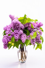 Transparent glass vase with flowers. Branches of lush lilac isolated on white background.