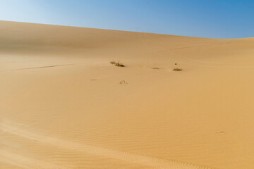 Fototapeta na wymiar Awesome Desert Background Landscape at Siwa, Egypt