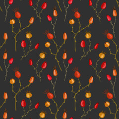 Seamless pattern, rose hips and gypsophila twigs, small flowers and berries on a dark background. Pastel hand drawing, pastel texture, paper texture.