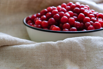 A metal bowl with cherries on a hemp tablecloth in natural light. Focus on the canvas.
