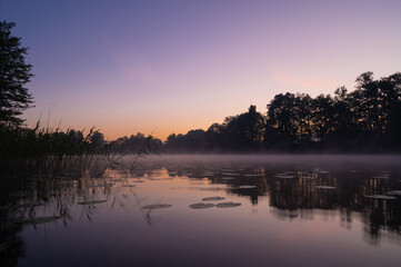 Beautiful mystical landscape. Forest lake at summer night before sunrise. Fog above calm water. Scenic nature.
