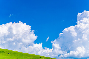 夏の草原と青い空