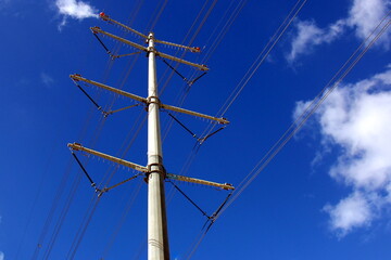 Electric pole and wires carrying current