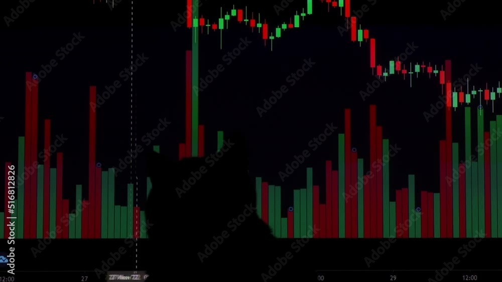 Poster silhouette of a cat on the background of cryptographics close-up. the value of digital money cryptoc