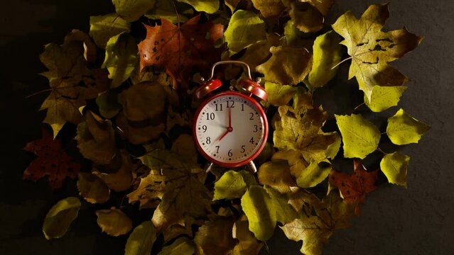 Red alarm clock in a circle of leaves shifting from autumn to green