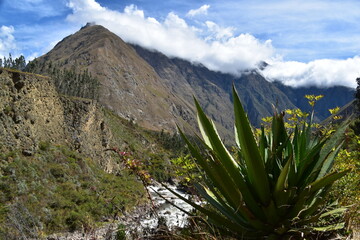 Fototapeta premium The dramatic landscapes of the Andes Mountains and cloud forests around the hiking path on the Inca Trail in Peru