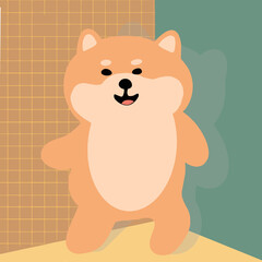 Shiba dances on the court and is pleased that she was noticed