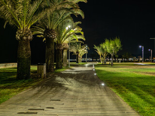 Obraz premium palm tree alley