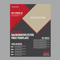 ready to print,
business flyer,
professional flyer
information flyer
corporate template