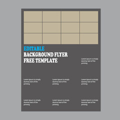 ready to print,
business flyer,
professional flyer
information flyer
corporate template