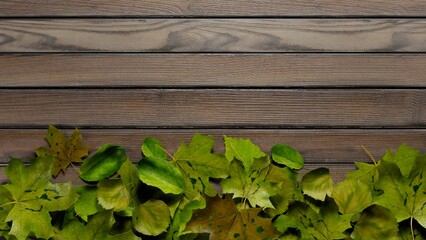 Animation with golden autumn leaves changing colour into green. Go back in time. - Powered by Adobe