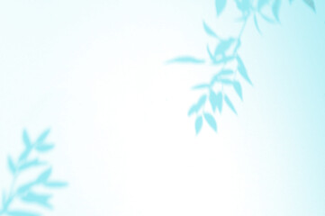 Creative layout with blue tropical leafs shadow on pastel color background