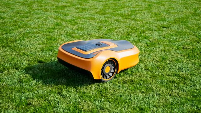 A lawn robot mows the yard. Wireless robotic lawn mower trims the grass.