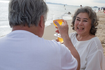 Asian senior couple toasting glasses and enjoy drinking wine, sitting and talking together at beach with sea and wave background. travel and vacation after retirement concept