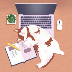 Сute cat lies on the desktop, laptop, cup of coffee, notepad and pen