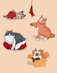 set of cats