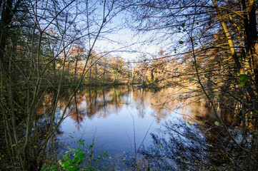 Autumn lake panorama.