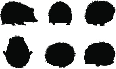 Vector hedgehog icons on isolated white background