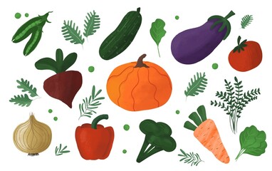 Hand drawn Organic vegetables Pumpkin beetroot cabbage, broccoli carrot, pepper, cucumber, tomato, onion, eggplant and microgreen.
