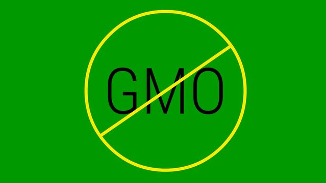 Animated yellow icon GMO free. Non genetically modified foods. Vector illustration isolated on green background.