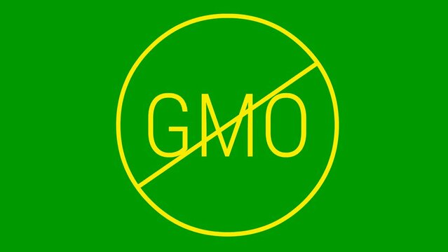 Animated yellow icon GMO free. Non genetically modified foods. Vector illustration isolated on green background.