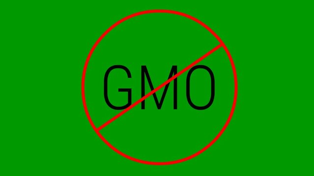 Animated red icon GMO free. Non genetically modified foods. Vector illustration isolated on green background.