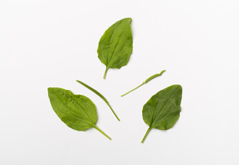 Plantain leaves on white background, top view