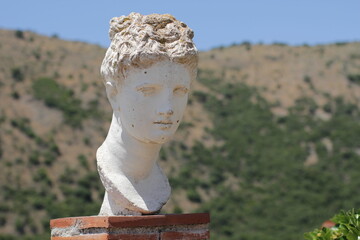 Head