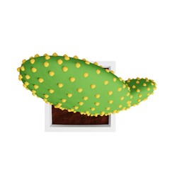 Cactus Opuntia microdasys picture. 3d rendering.