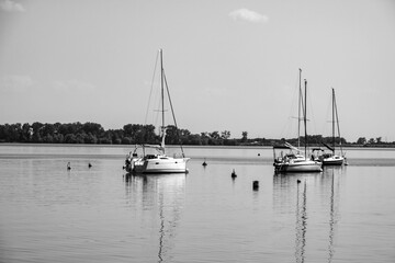 Fototapeta premium Sailboat moored in the harbor for boats, yachts and sailboats in a recreational destination