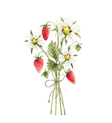 bouquet of wild strawberries with white flowers, watercolor illustration.