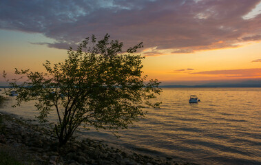 Fototapeta na wymiar Sunset with a tree on the beach of garda lake