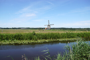 Old Dutch thatched windmill (1897) called Philisteinse molen. Meadows, Canal called Ringvaart of the Bergermeer near the village of Bergen in summer. July, Netherlands.
