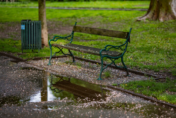 bench in the park