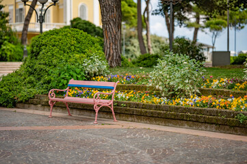 bench in the garden