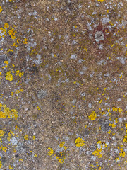 Rough stone surface from close with coloured moss texture and natural patterns in detail