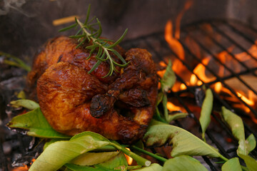 Barbacoa de pollo asado con hojas de limón y romero, fiesta, estilo de vida y picnic