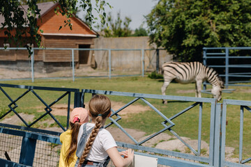  Children look at a zebra in the zoo