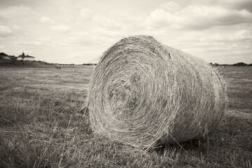 Hay bale. Closeup black and white photo of hay bale. Sepia toned