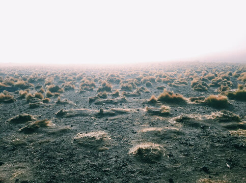 Geisers del tatio