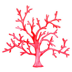 Red coral. Watercolor element isolated on white background..