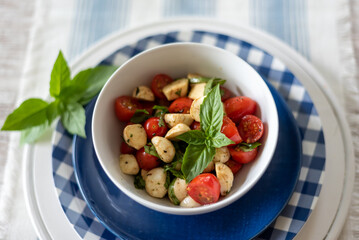 Fresh tomato basil mozzarella salad