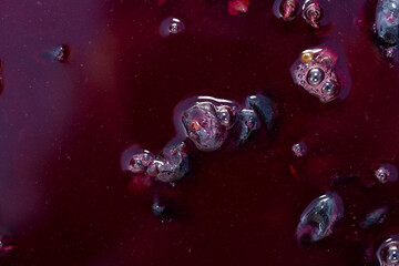 Wine material, grape juice - must, stum, maun. Technology of wine production in Moldova. The folk tradition of making wine.