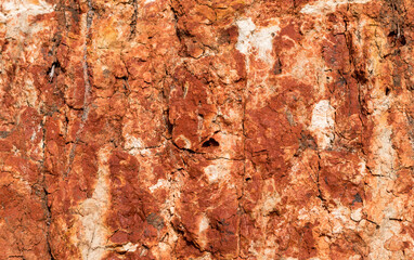 Sedimentary rocks with a high content of iron oxide. Red soil, loam. The texture of the soil.
