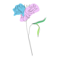 Knapweed flower one line