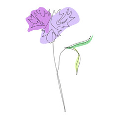 Knapweed flower one line